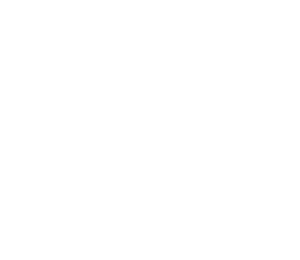 The Book Of Life